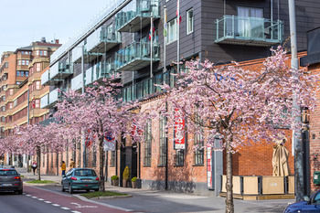 Bild från NORWEGIAN HOTELS AND APARTMENTS, Hotell i Norge